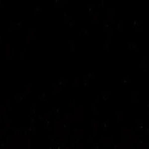 Meet your Posher, Kelston